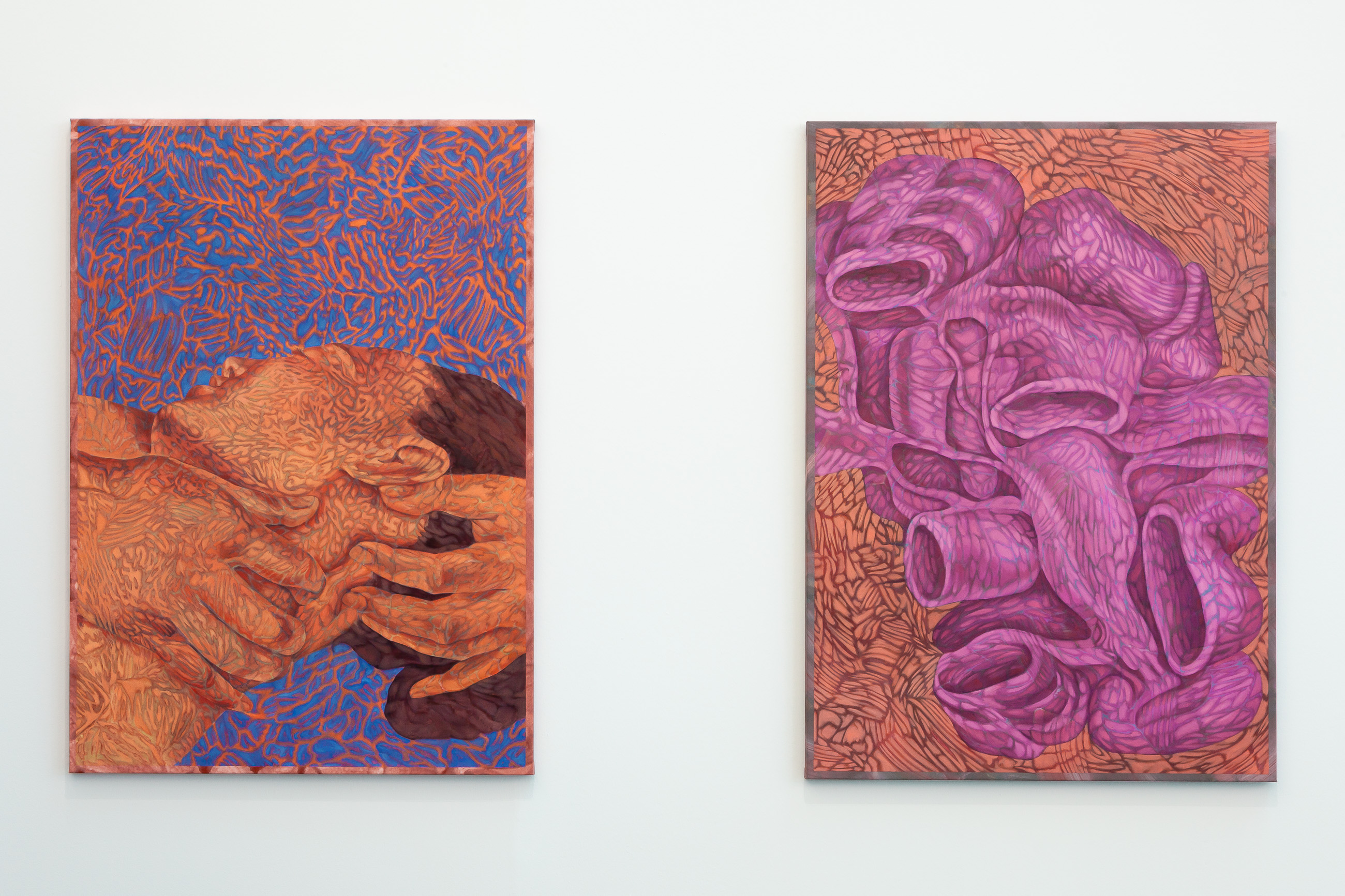 Installation view Belvedere 21